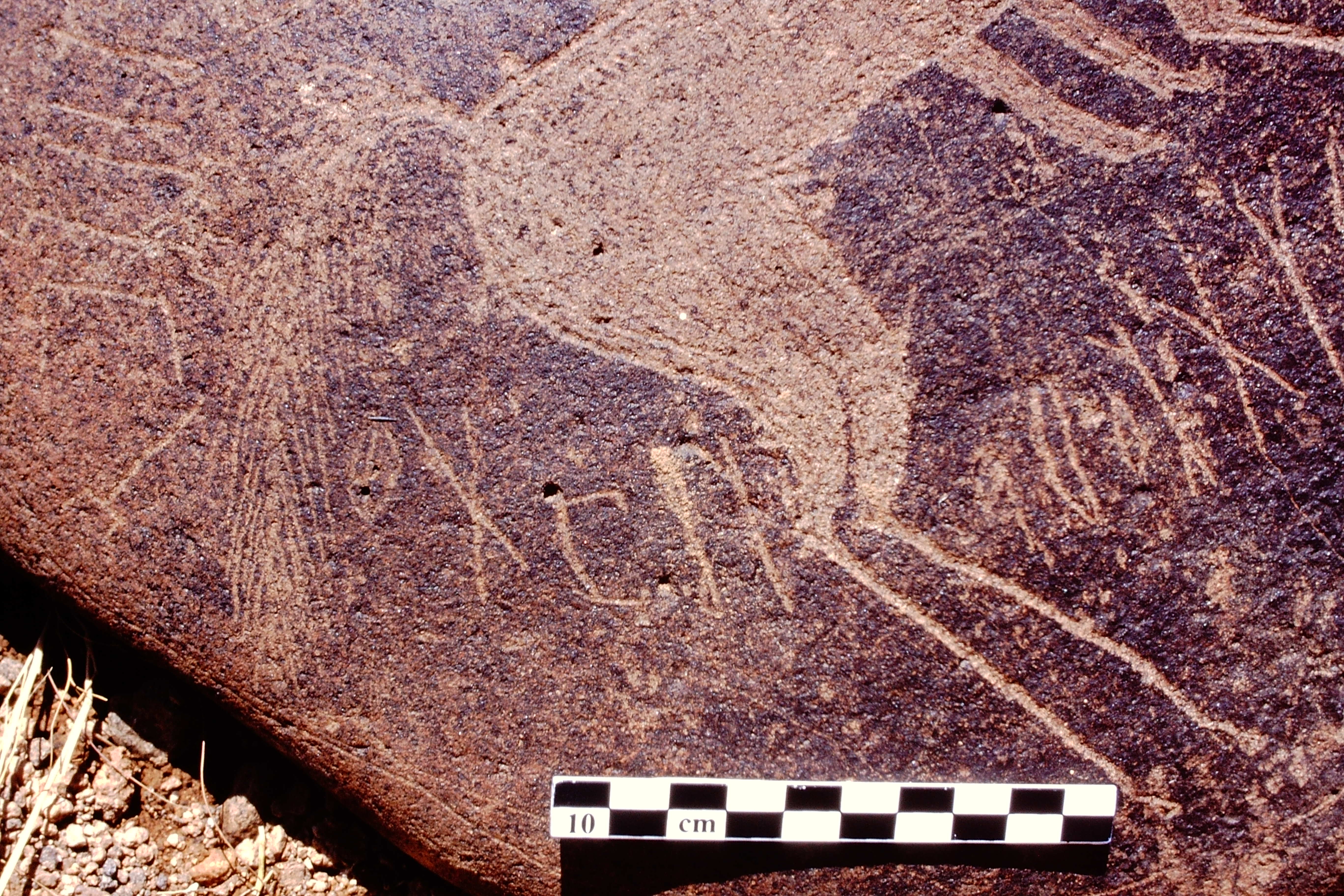 inscription of siglum Is.M 113 See LP 326