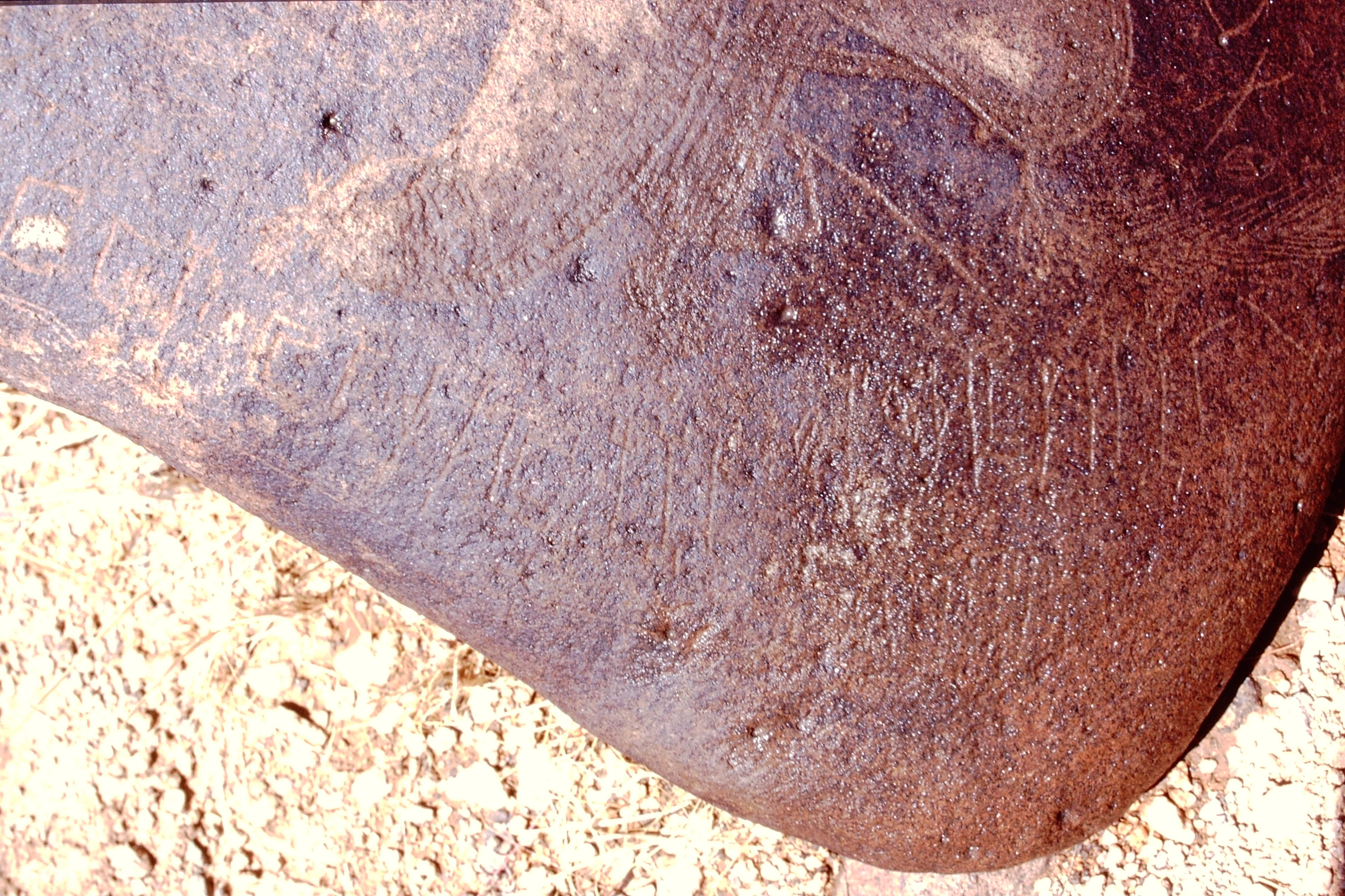 inscription of siglum Is.M 113 See LP 326