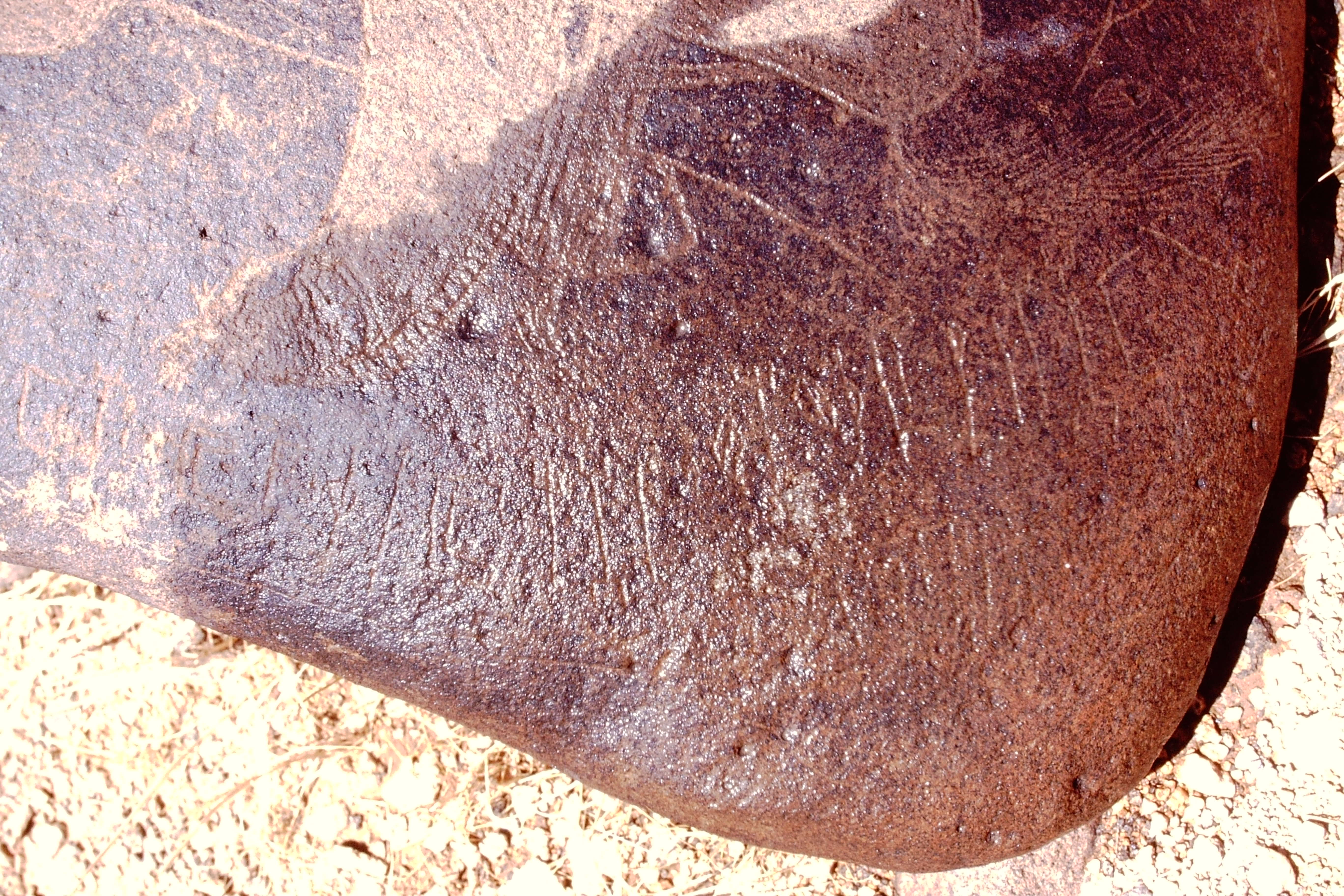 inscription of siglum Is.M 113 See LP 326