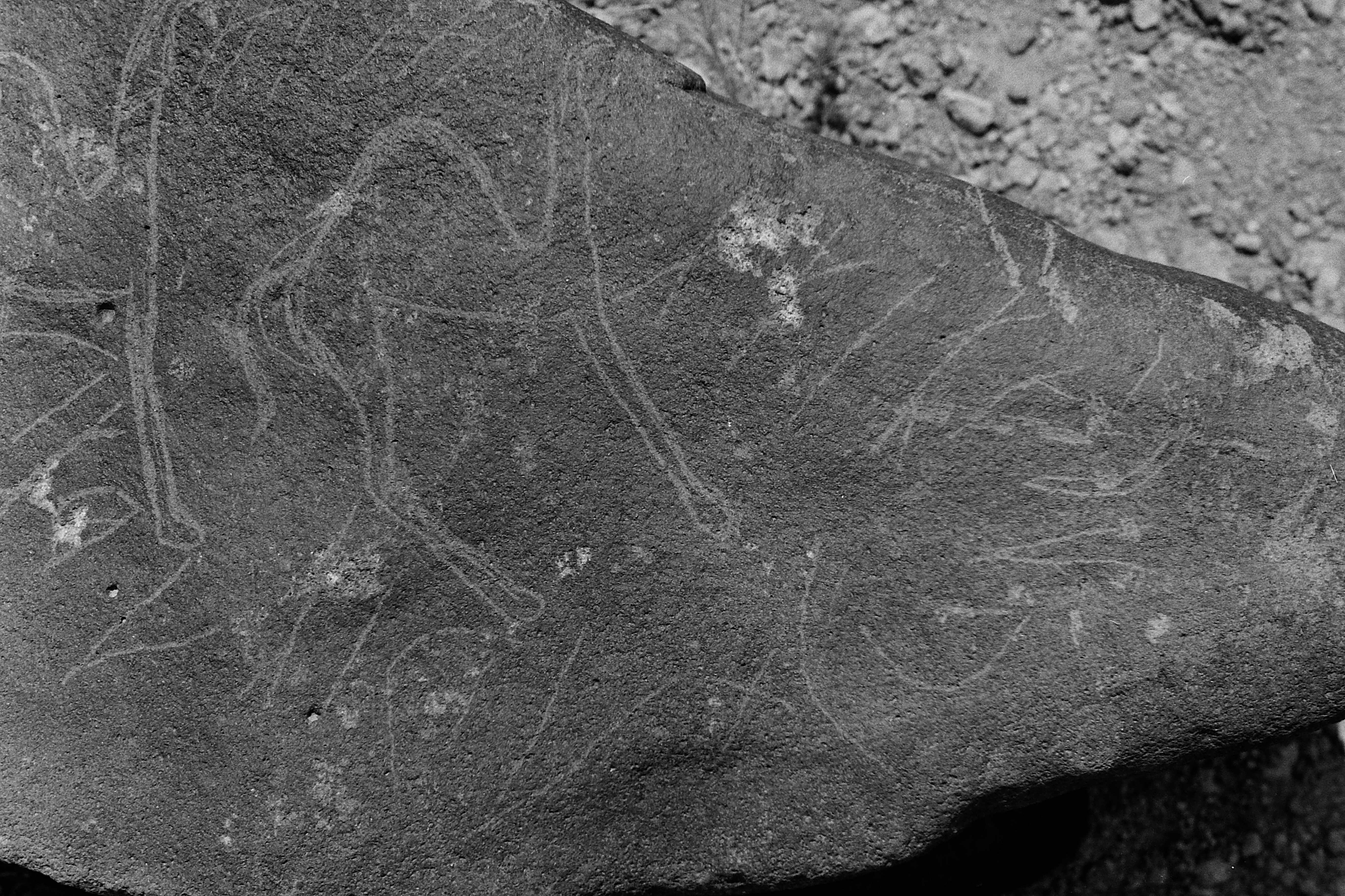 inscription of siglum Is.M 113 See LP 326