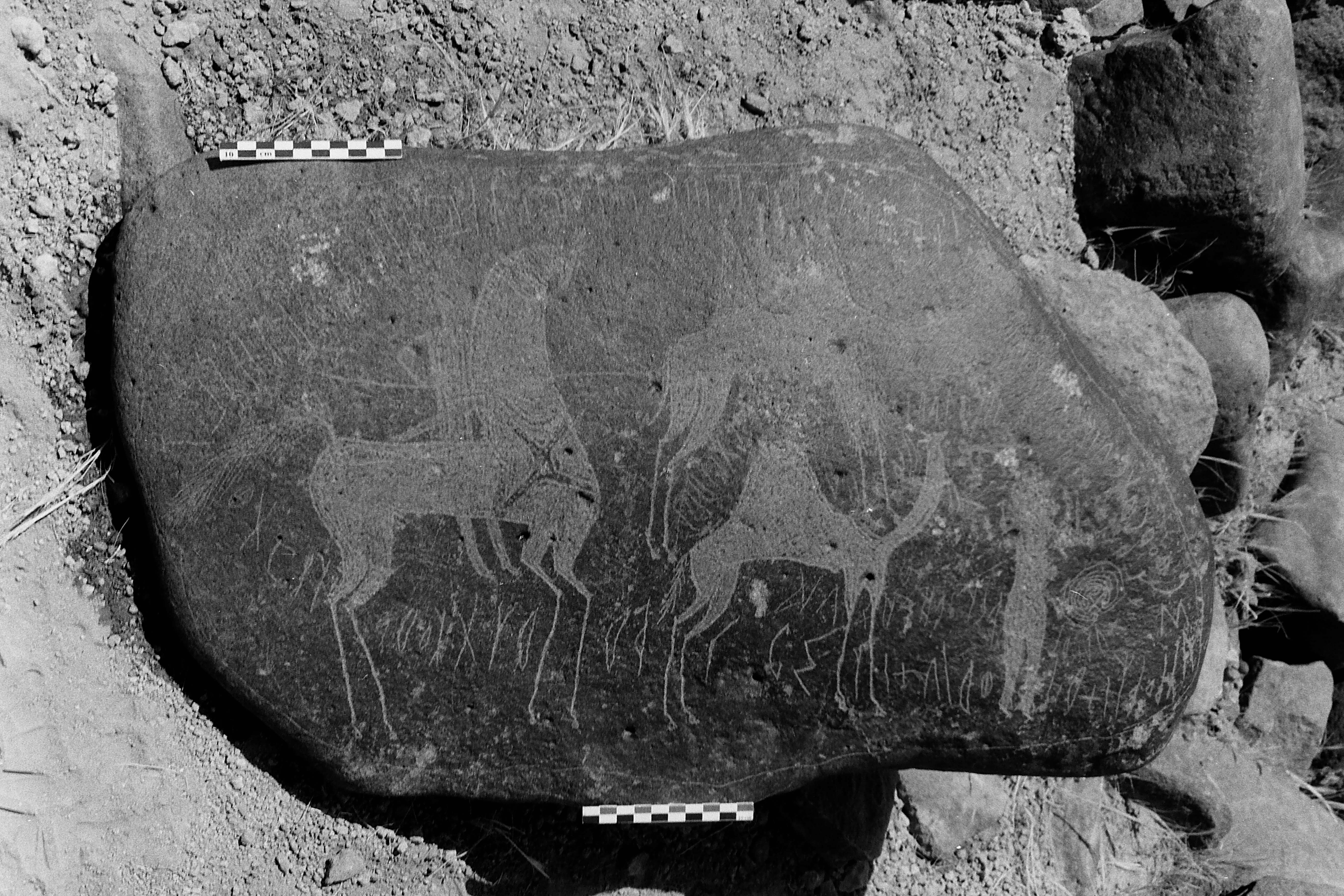inscription of siglum Is.M 113 See LP 326