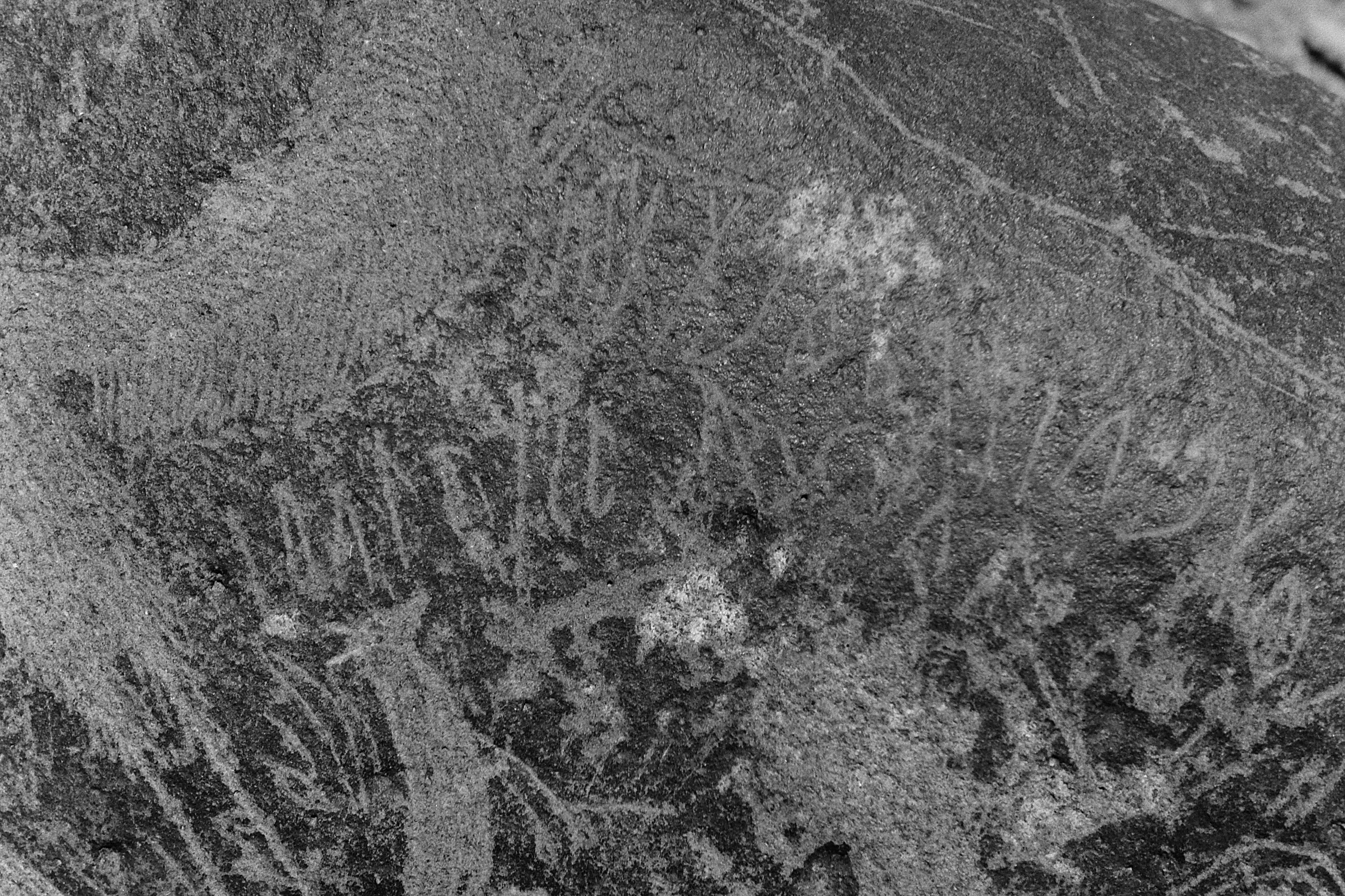 inscription of siglum Is.M 113 See LP 326