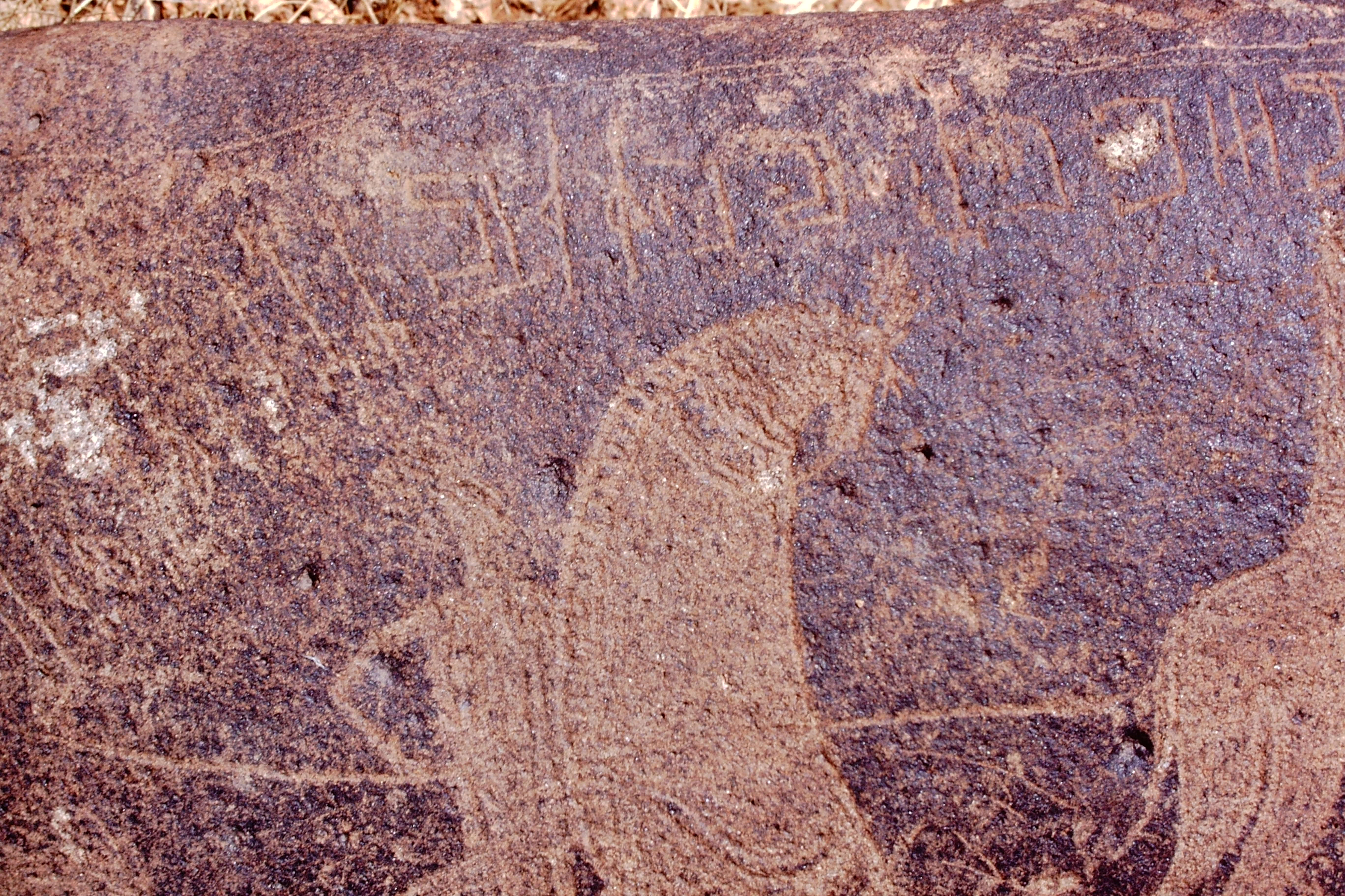 inscription of siglum Is.M 113 See LP 326