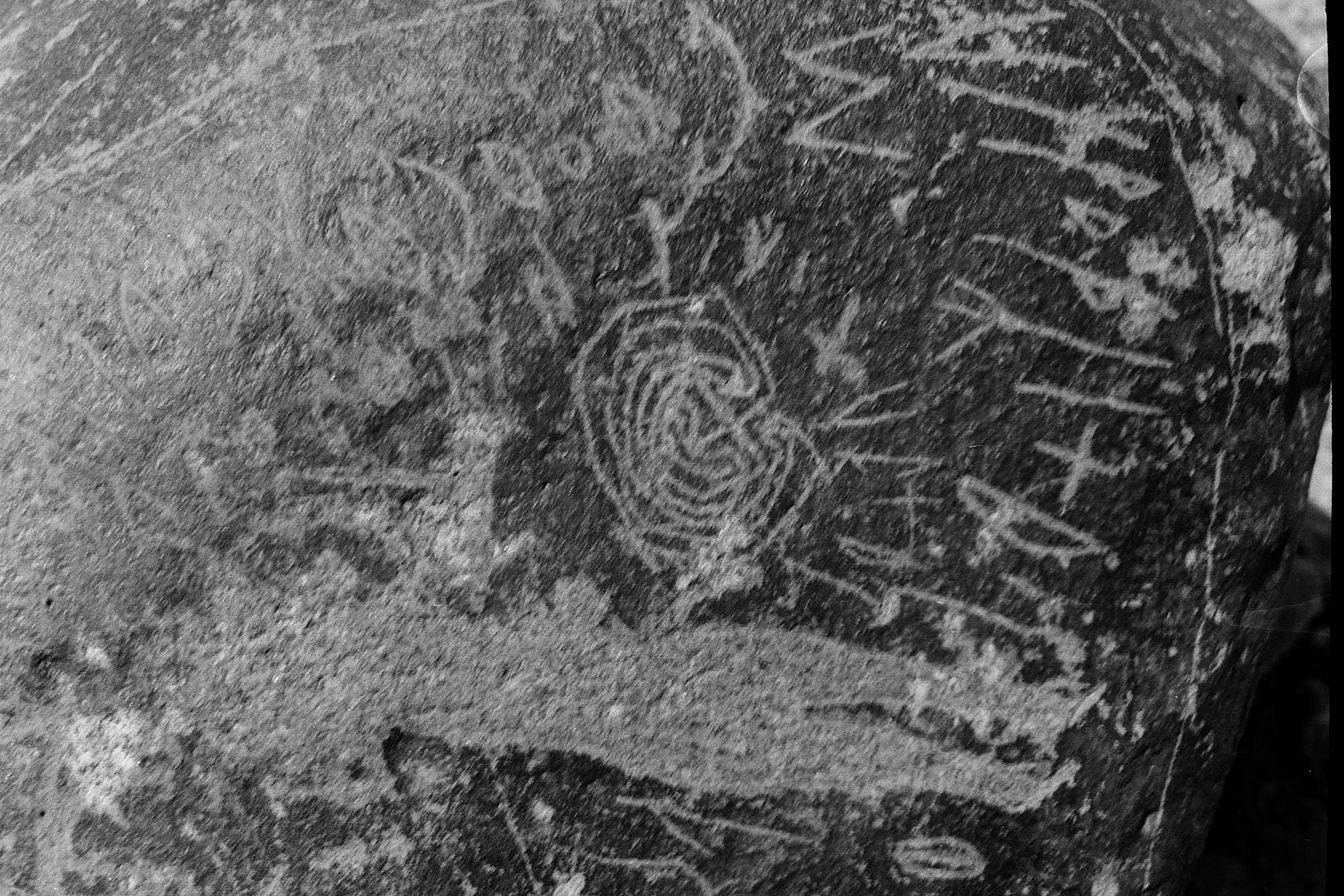 inscription of siglum Is.M 113 See LP 326