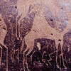 inscription of siglum Is.M 113 See LP 326