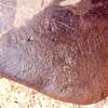 inscription of siglum Is.M 113 See LP 326