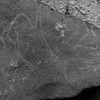 inscription of siglum Is.M 113 See LP 326