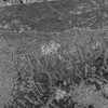 inscription of siglum Is.M 113 See LP 326