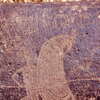 inscription of siglum Is.M 113 See LP 326