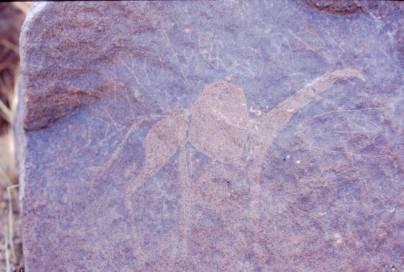 inscription of siglum Is.M 12