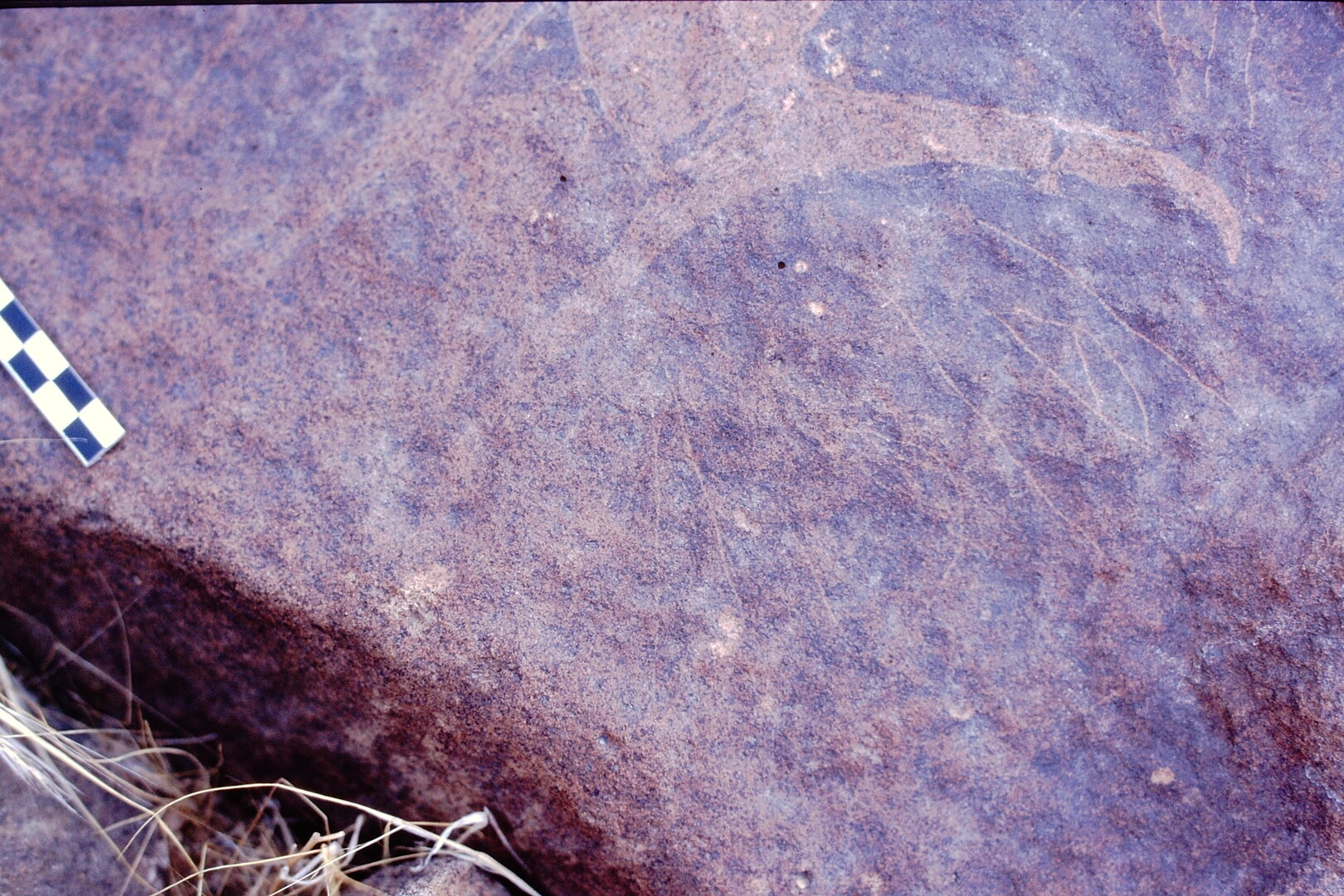 inscription of siglum Is.M 12