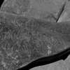 inscription of siglum Is.M 120