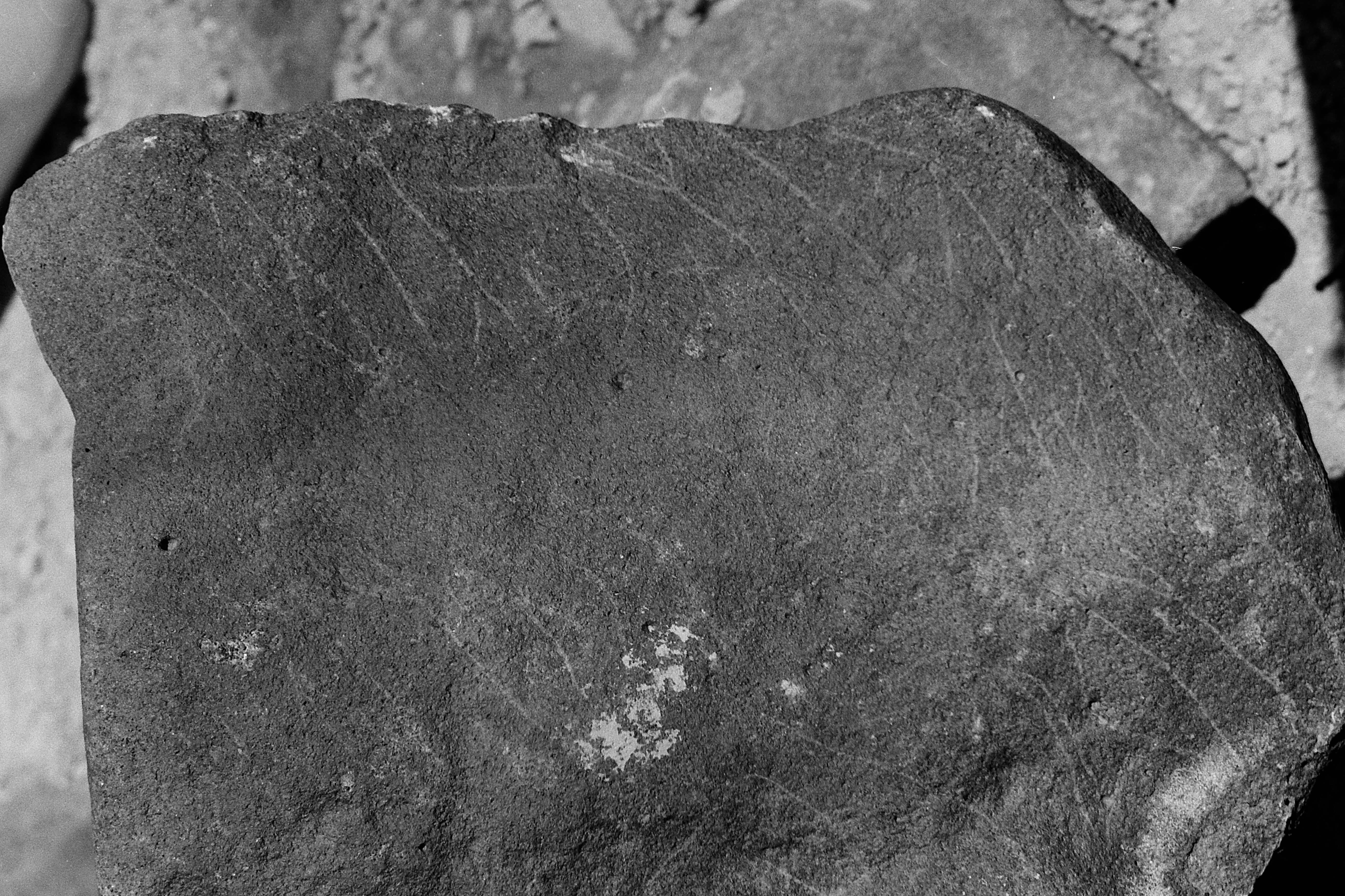inscription of siglum Is.M 124