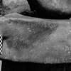 inscription of siglum Is.M 124