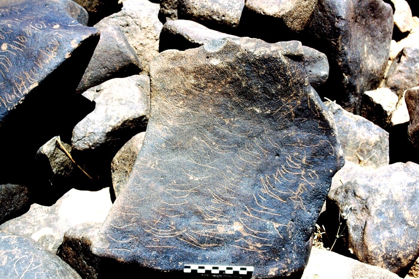 inscription of siglum Is.M 137 See LP 378