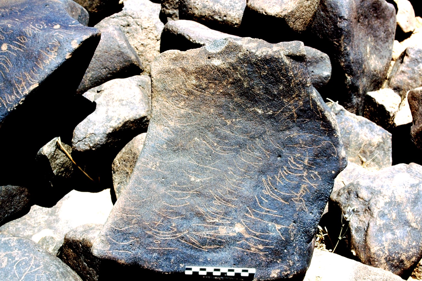 inscription of siglum Is.M 137 See LP 378