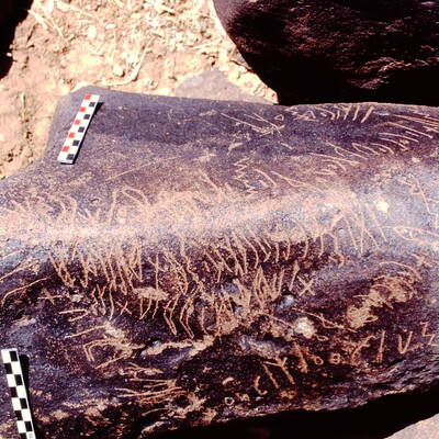 inscription of siglum Is.M 142 See LP 373