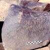inscription of siglum Is.M 145