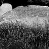 inscription of siglum Is.M 146