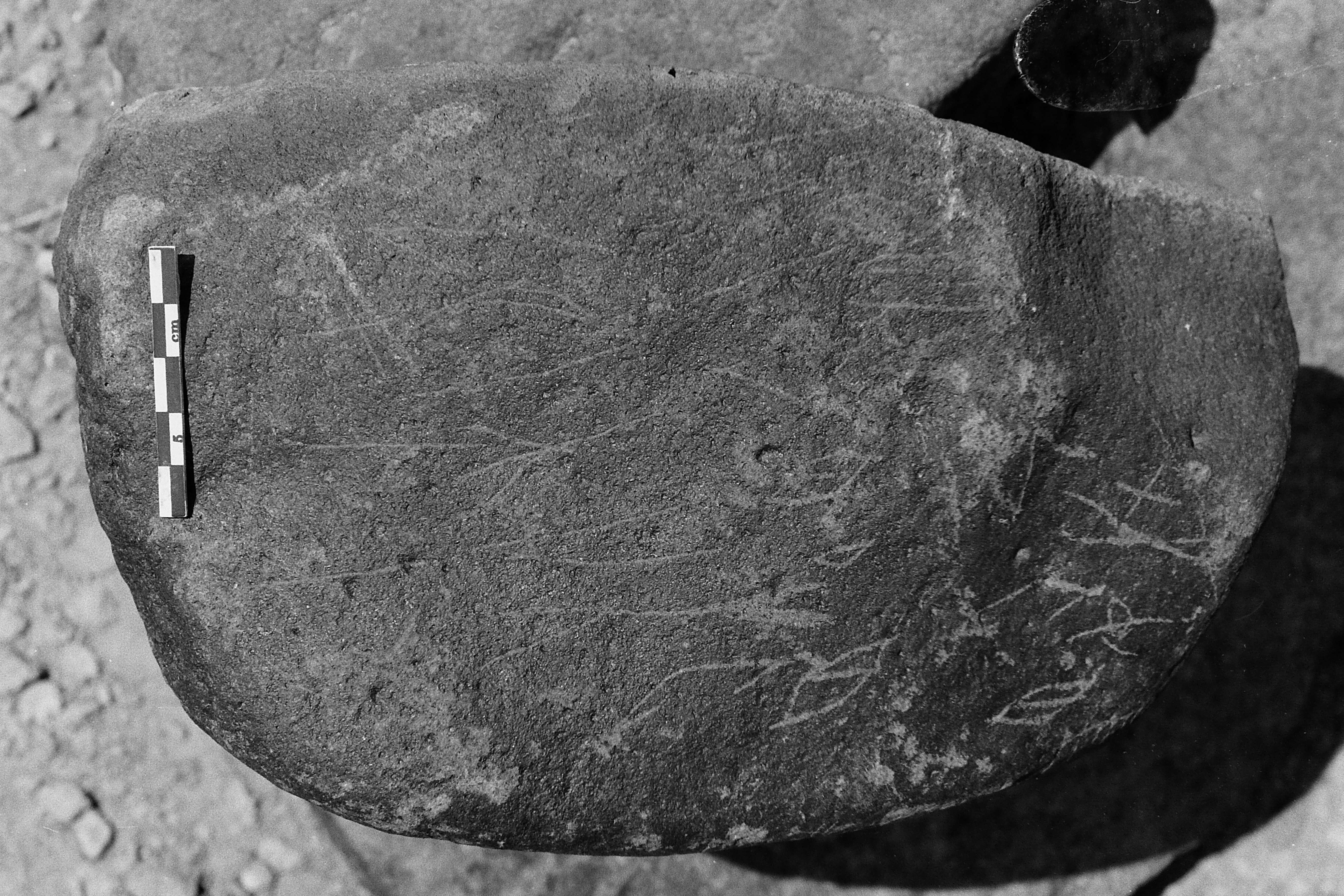 inscription of siglum Is.M 148