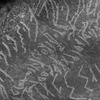 inscription of siglum Is.M 148