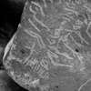 inscription of siglum Is.M 150