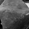 inscription of siglum Is.M 155