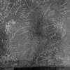 inscription of siglum Is.M 155