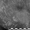 inscription of siglum Is.M 155