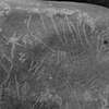 inscription of siglum Is.M 156