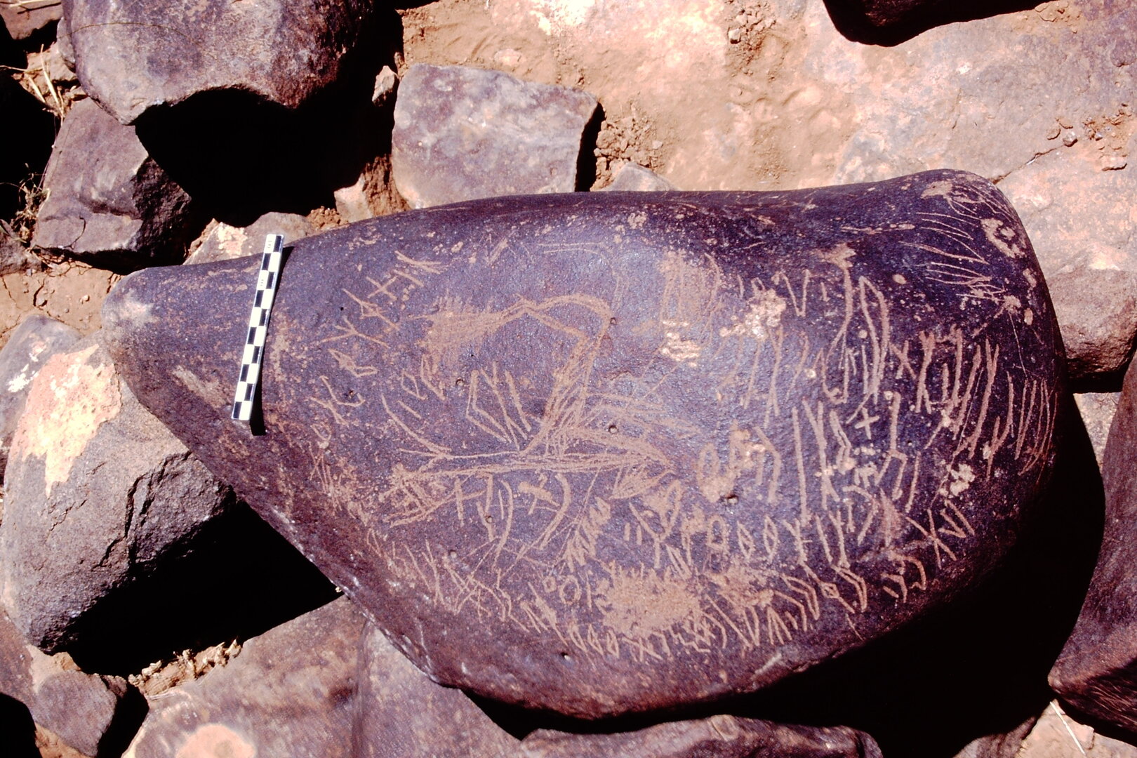 inscription of siglum Is.M 173 See LP 385