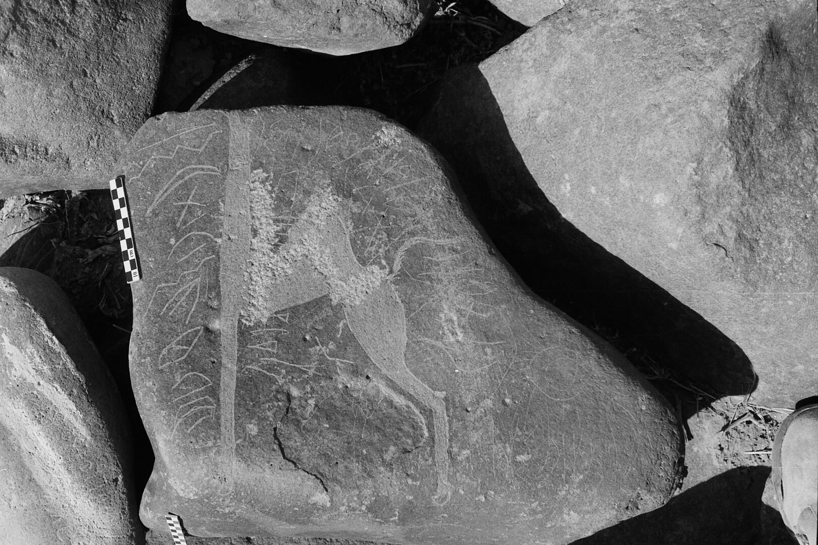 inscription of siglum Is.M 183