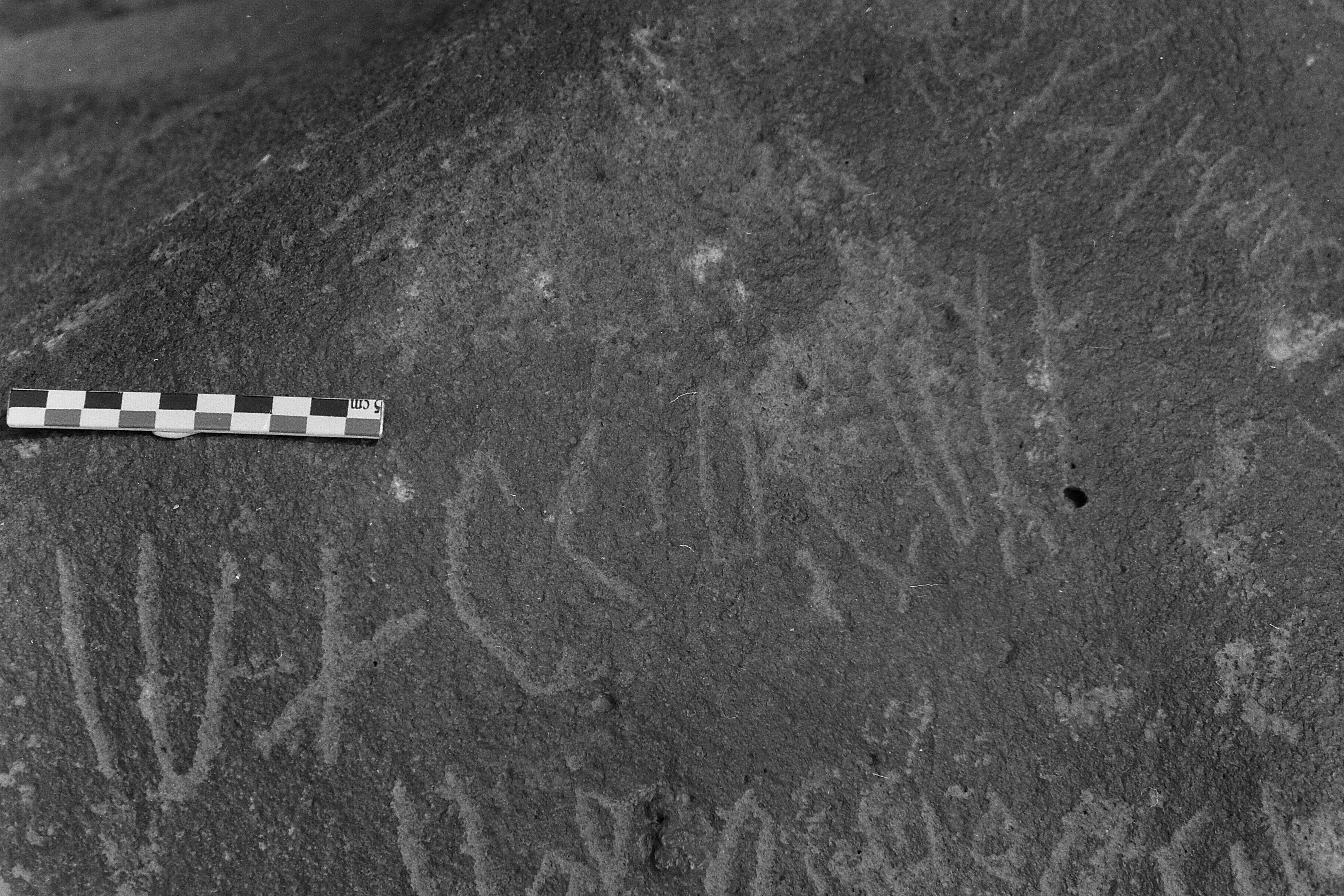 inscription of siglum Is.M 194