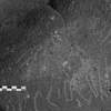inscription of siglum Is.M 194