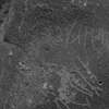 inscription of siglum Is.M 194