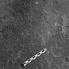 inscription of siglum Is.M 194