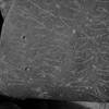 inscription of siglum Is.M 197