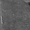 inscription of siglum Is.M 197