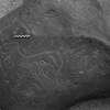 inscription of siglum Is.M 206