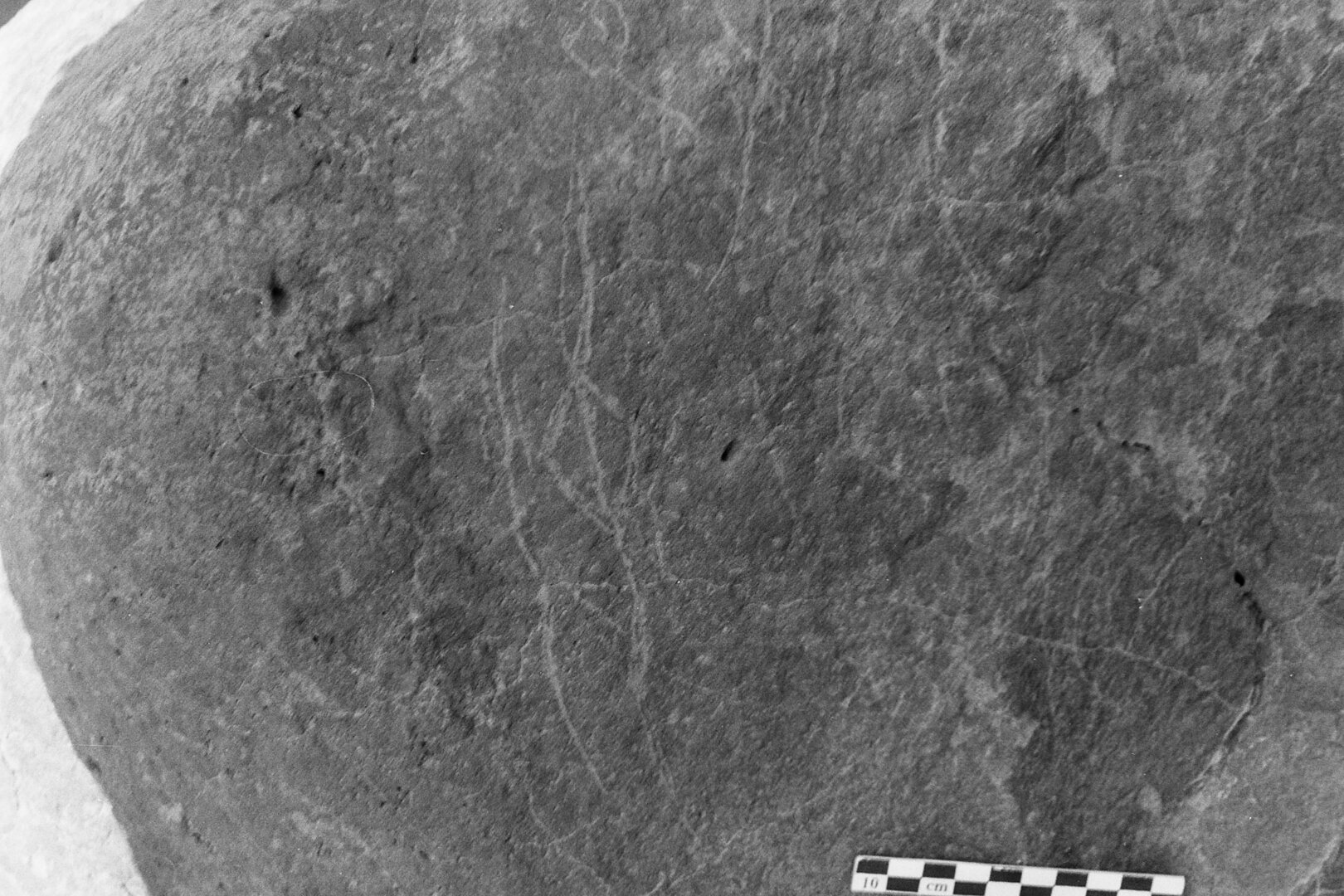 inscription of siglum Is.M 229