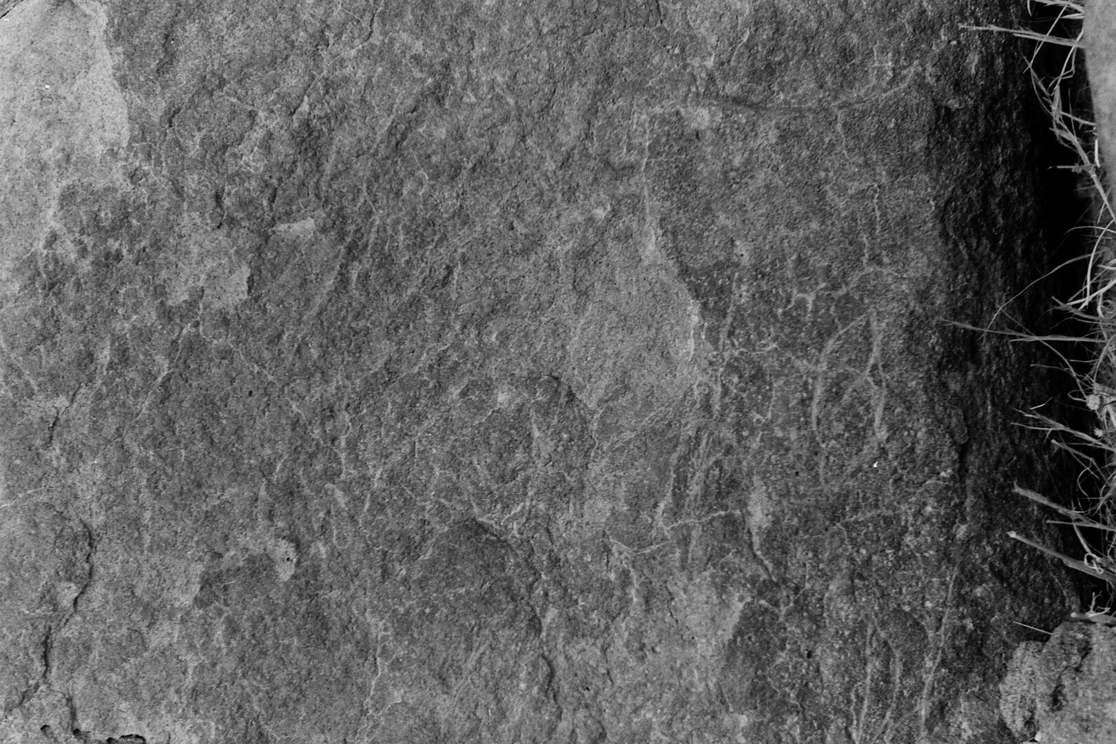 inscription of siglum Is.M 229