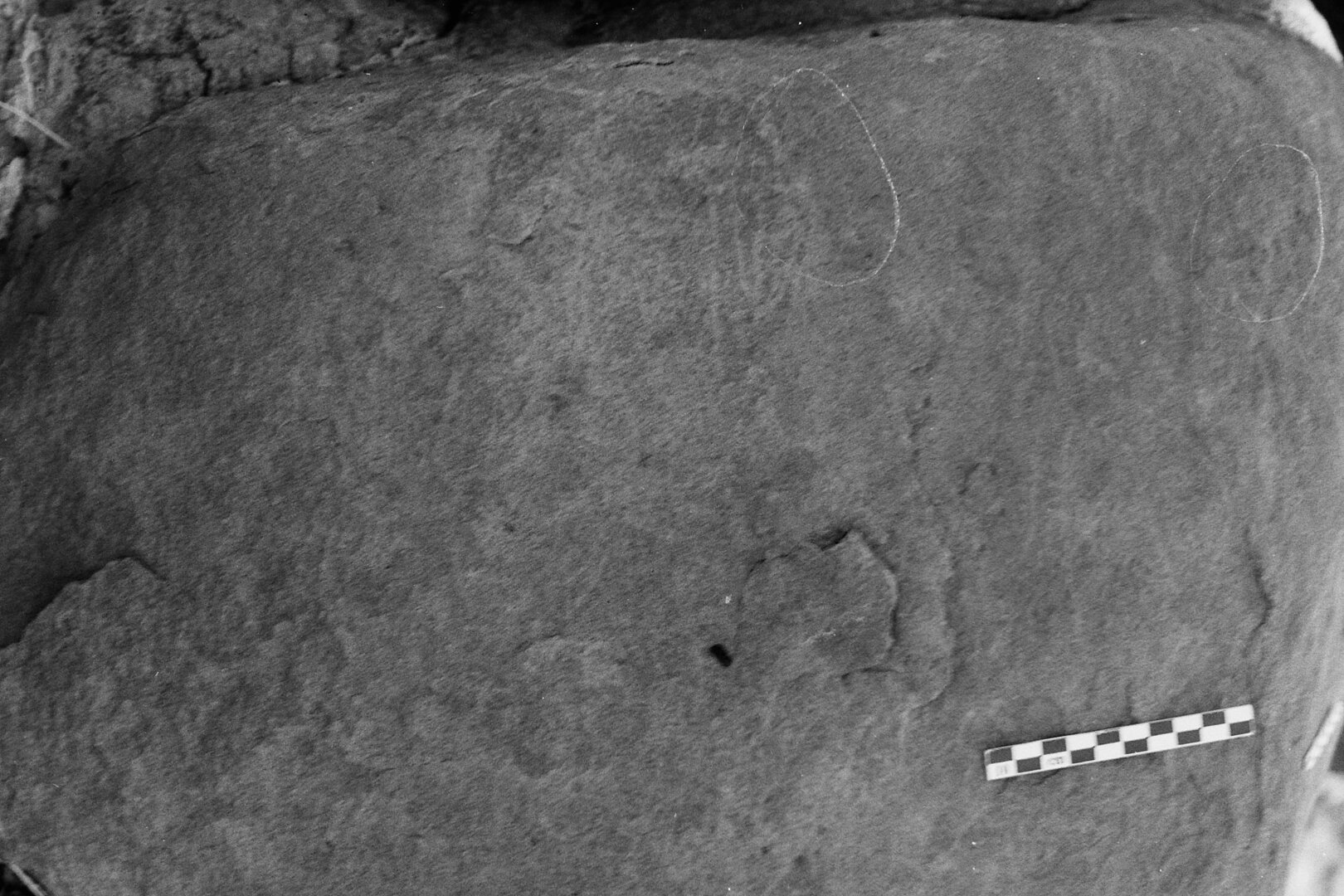 inscription of siglum Is.M 229