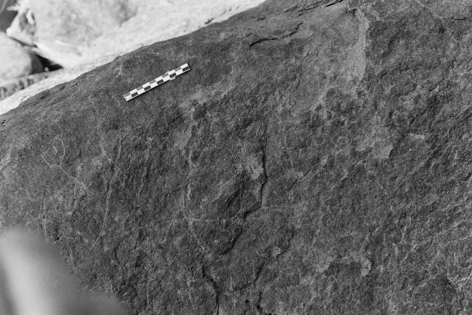 inscription of siglum Is.M 229