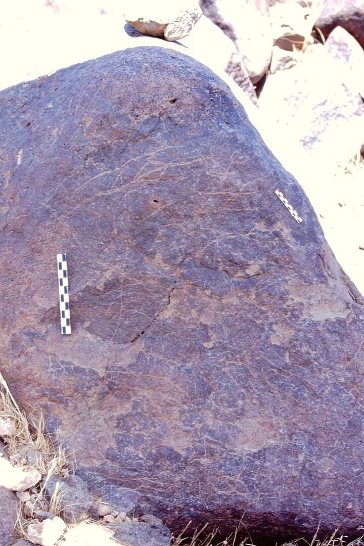inscription of siglum Is.M 229