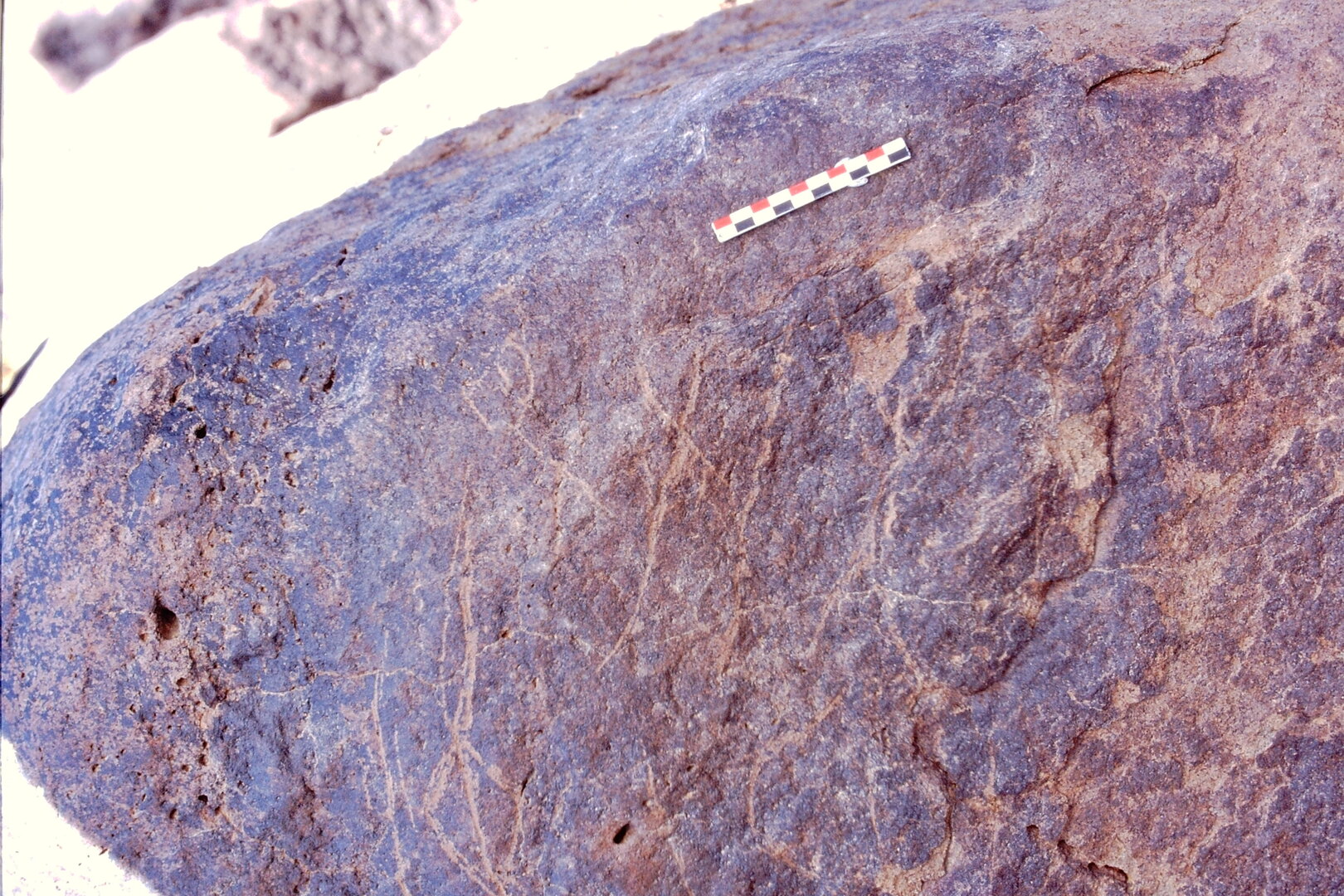 inscription of siglum Is.M 229
