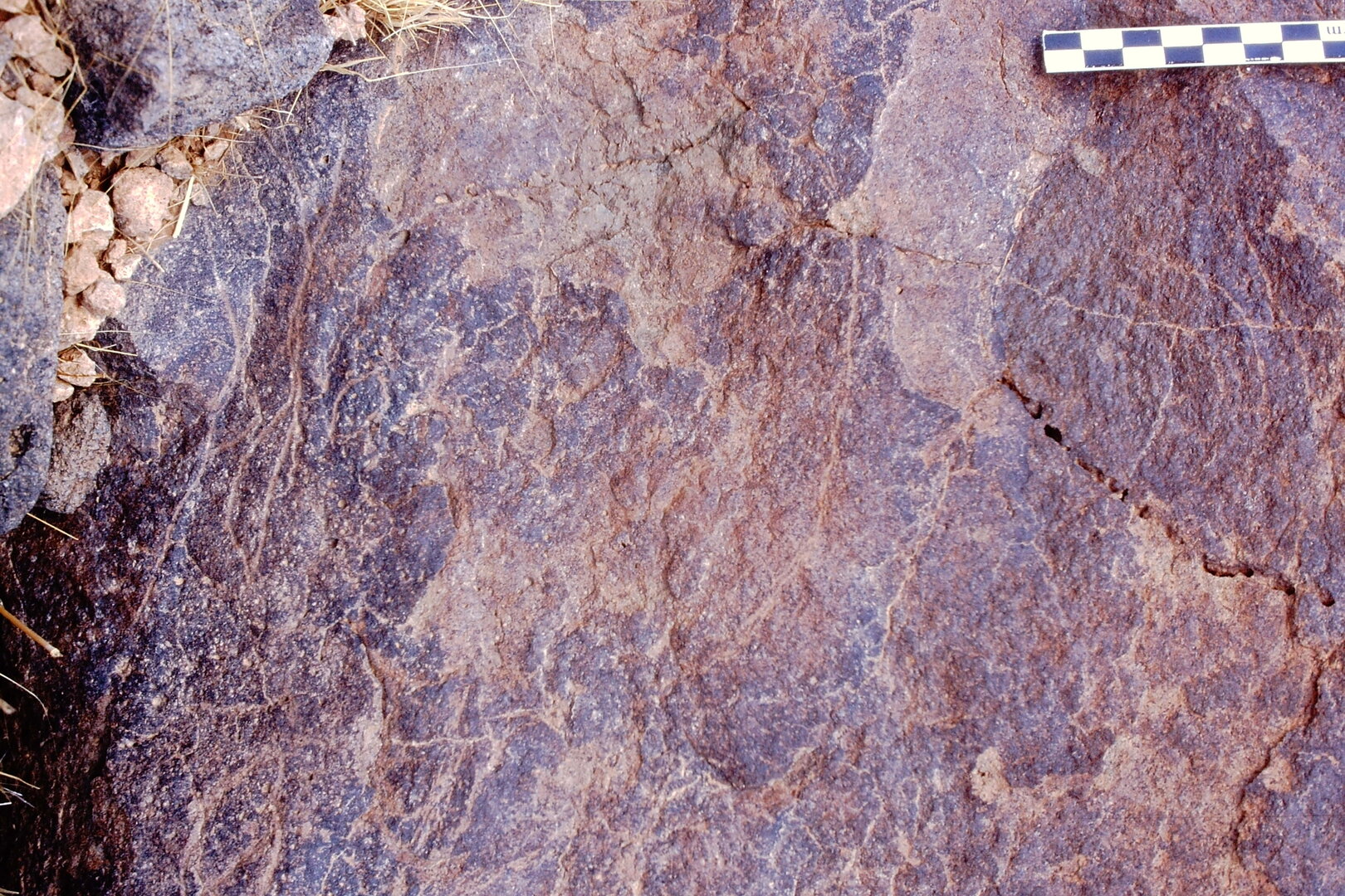 inscription of siglum Is.M 229