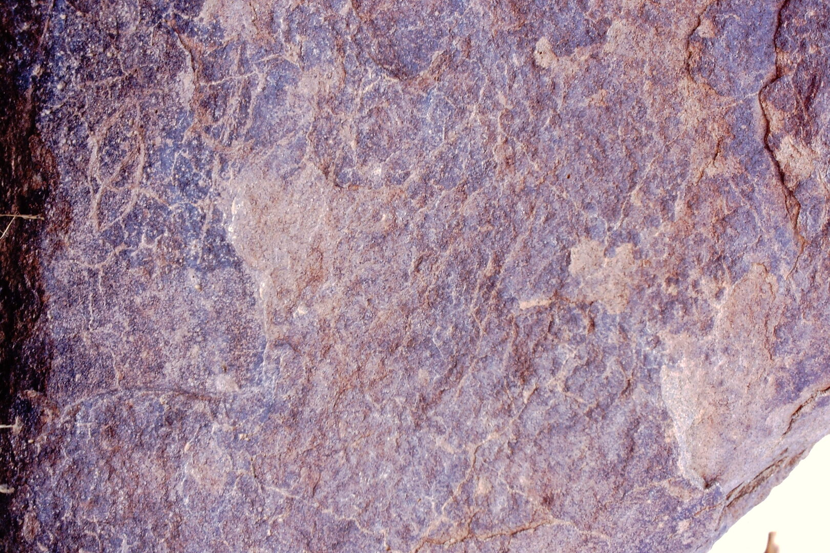 inscription of siglum Is.M 229