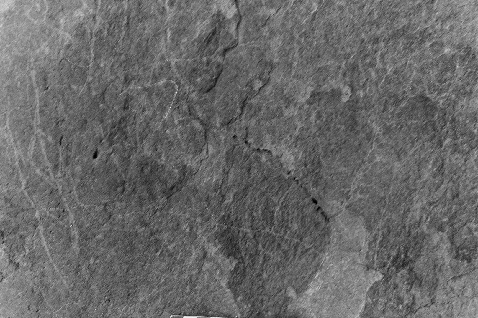 inscription of siglum Is.M 229