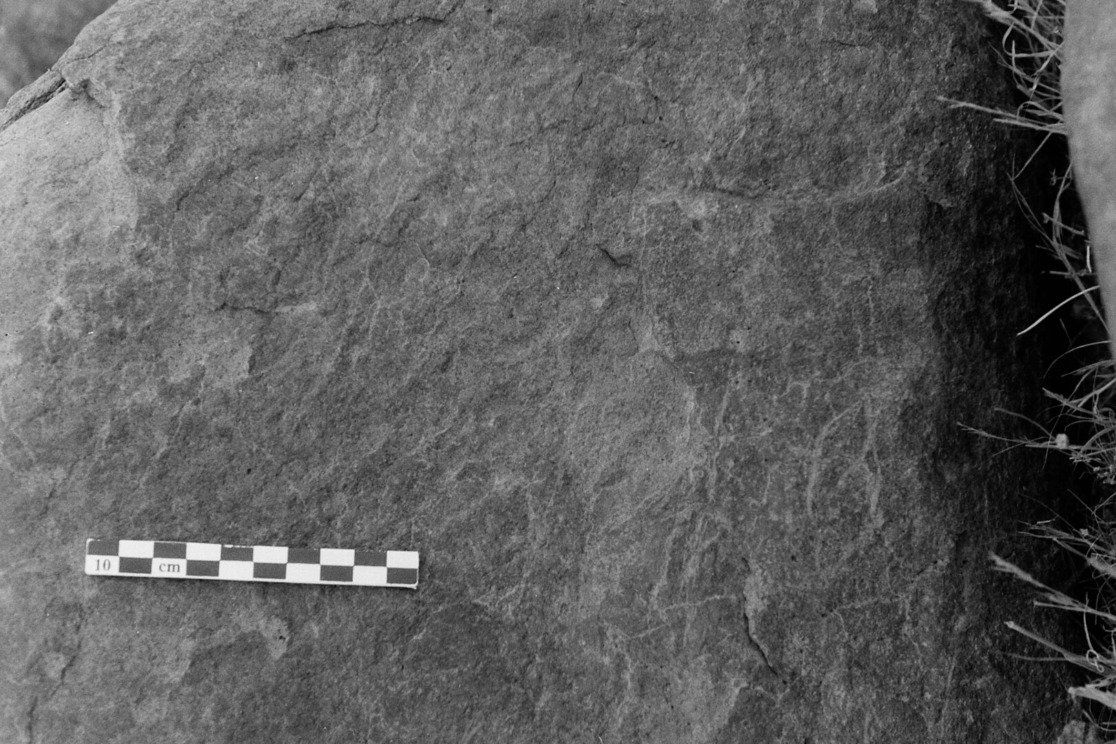 inscription of siglum Is.M 229