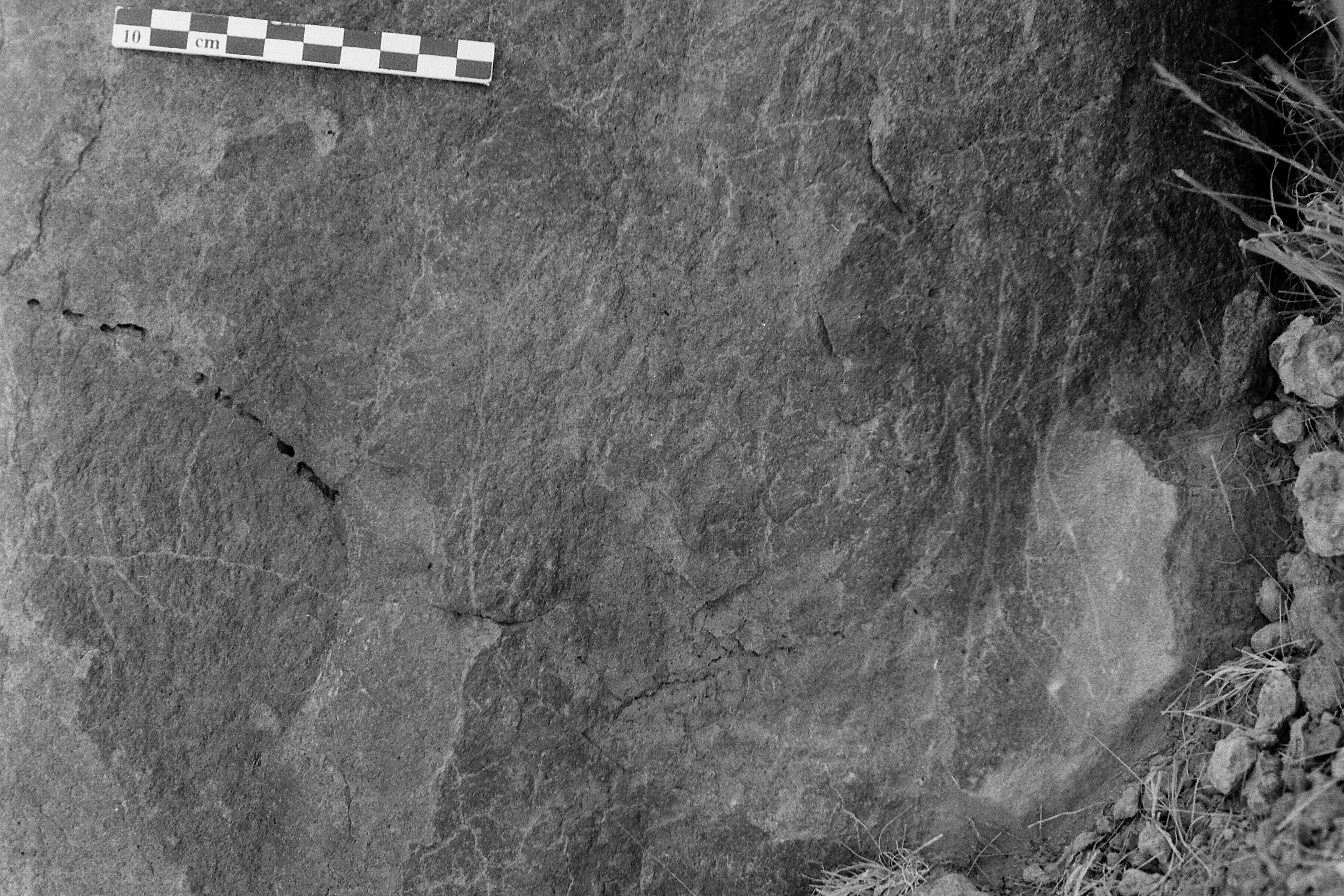 inscription of siglum Is.M 229